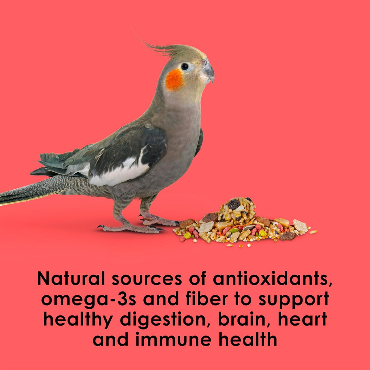 Kaytee Fiesta premium bird diet formulation chart focusing on digestive and brain health.