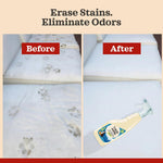 Imported pet safe stain neutralizer spray for premium Indian home care.