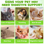 Datival cat probiotic dropper bottle showing liquid supplement