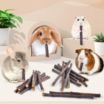 Bissap small animal wood sticks showing safe textures for hamster molar care