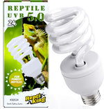 Base detail of the compact fluorescent reptile lamp for calcium synthesis