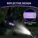 Luckydc reflective escape proof collar showing the premium black hardware close up.