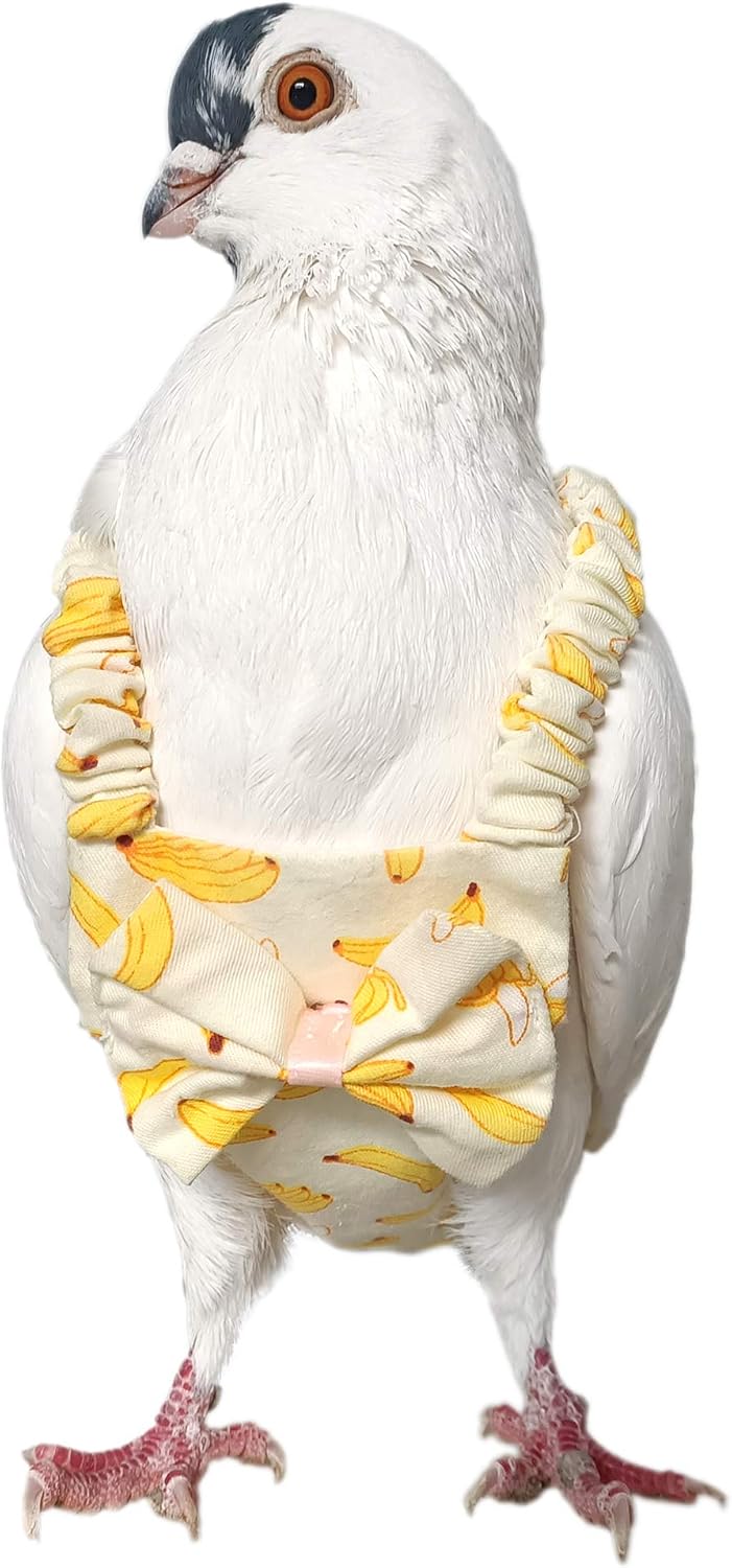 YUYUSO bird diaper harness back view displaying the adjustable velcro closure and safety leash attachment loop