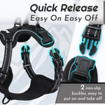 Eagloo vest showing quick-snap buckles and top control handle
