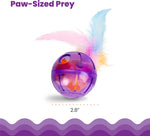Transparent ball showing treat holes and interior