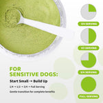 Dog tartar removal treatment powder results showing healthier canine gums and cleaner teeth surfaces