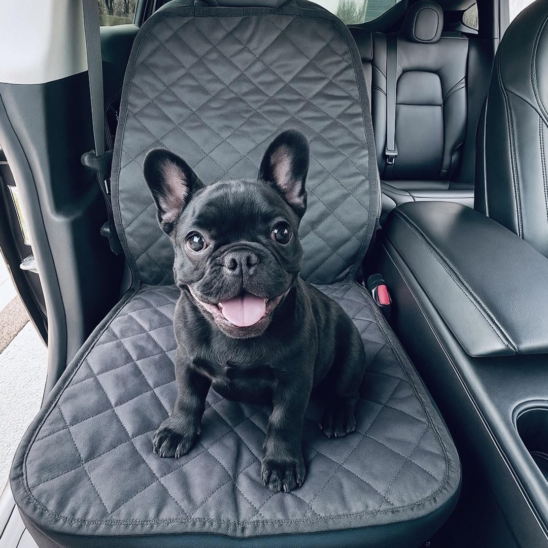 VION Tesla Model 3 and Y passenger seat cover front view