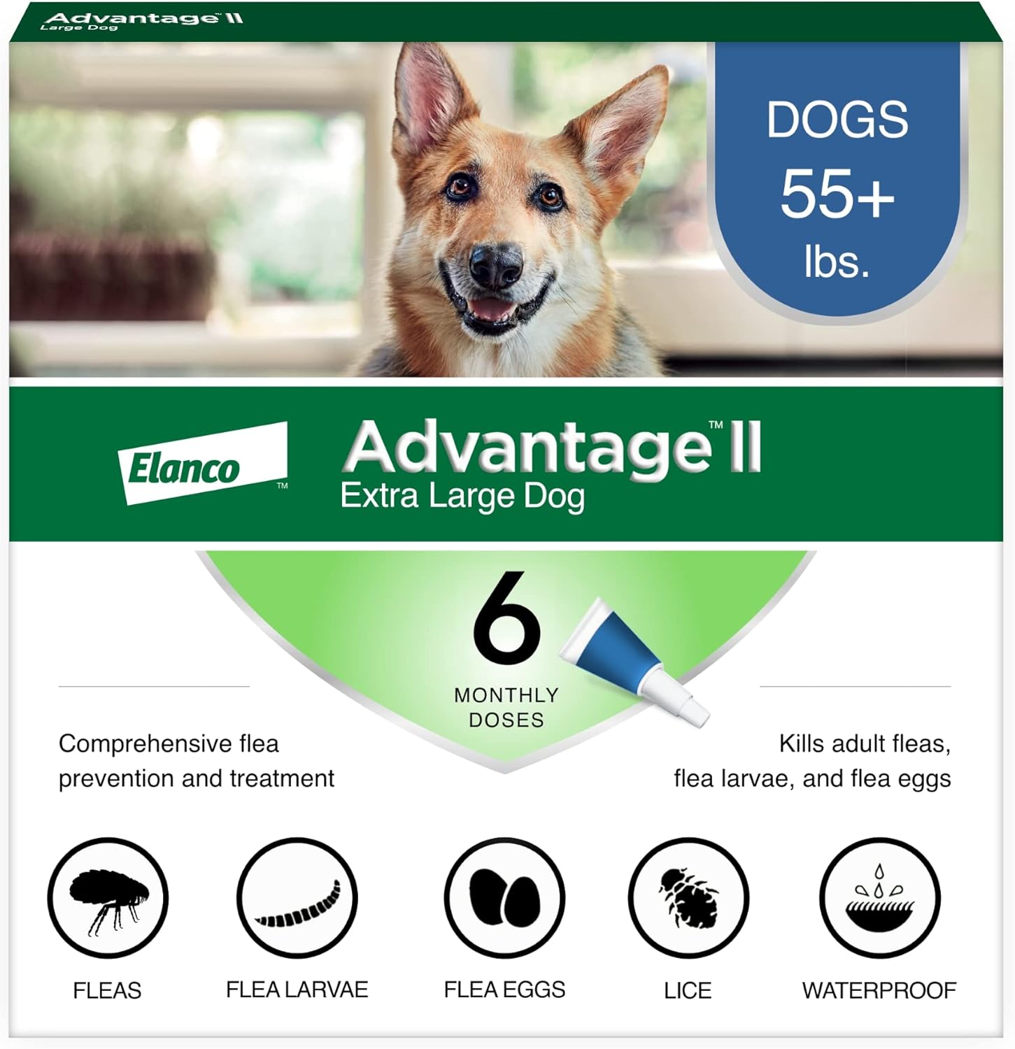 Advantage II extra large dog flea treatment packaging front view showing six month supply.