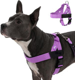 Dog Friendly Co. Dog Harness | Chafe Resistant Webbing, Adjustable Neck & Chest, and Heavy Duty D-Ring | Sturdy, Comfortable, Easy to Use | Classic Blue, Size L - Image 8