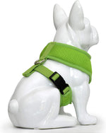 EcoBark classic pet walking harness packaging and product overview