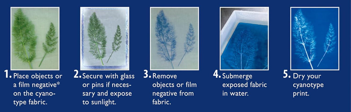 Artistic botanical photogram blueprint created with sun printing kit