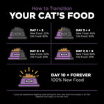 Go Solutions Carnivore premium cat food bag with complete ingredients list displayed clearly