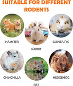 Natural organic rodent dental chews without artificial pigments or added hormones.