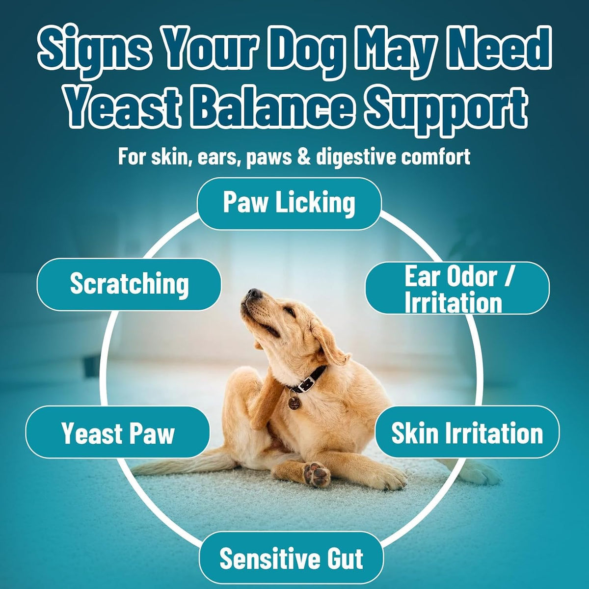 VICSOM Natural Dog Yeast Infection Treatment for Dogs, Itchy Skin & Ear Treatment Natural Support Allergy Relief, Dog Yeast Infection Relief, Support Irritation, Itching & Inflammation 60ml - Image 2