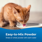 Kitten eating food supplemented with PetAg KMR