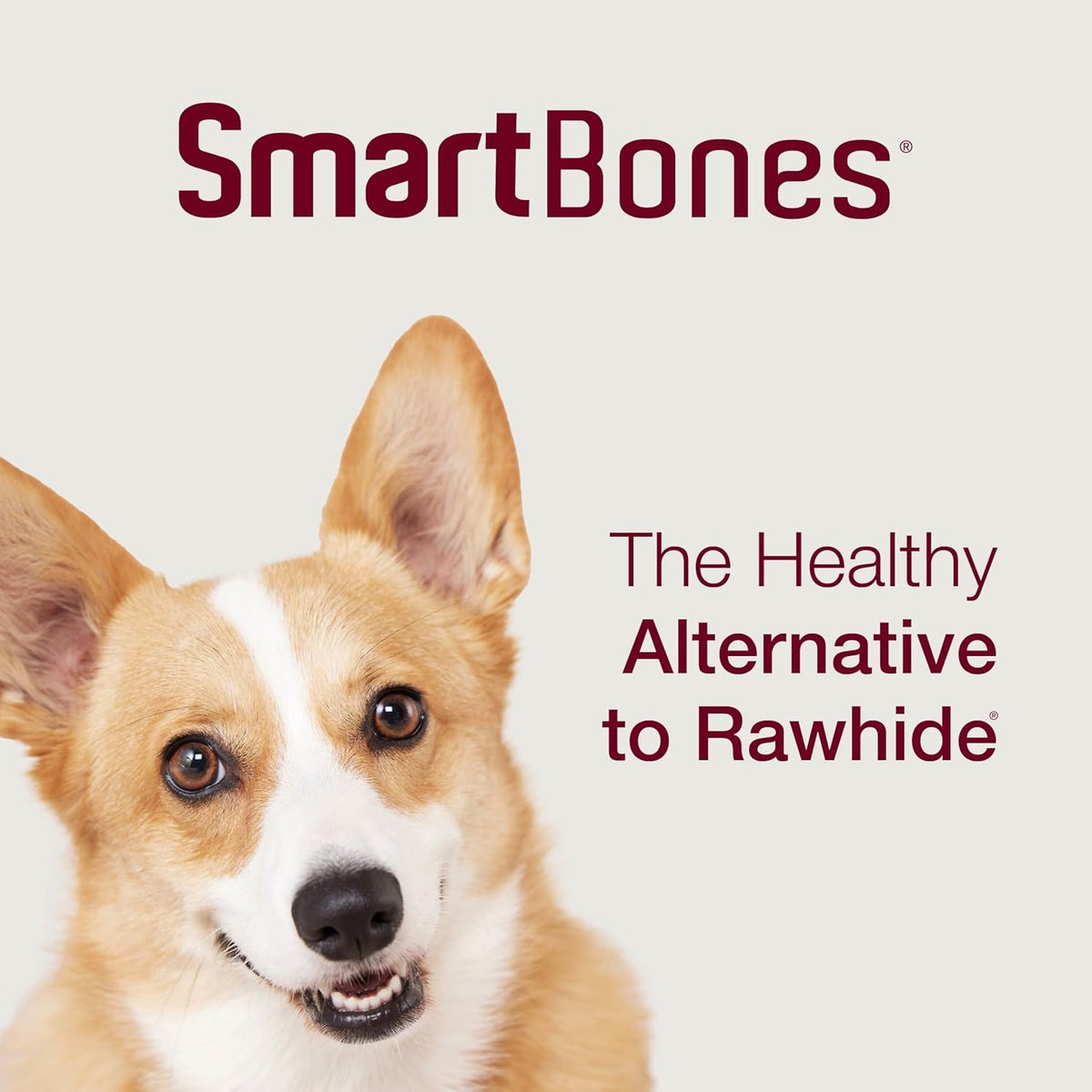 SmartBones Smart Twist Sticks With Peanut Butter, Rawhide-Free Chews For Dogs, 50 Count - Image 10