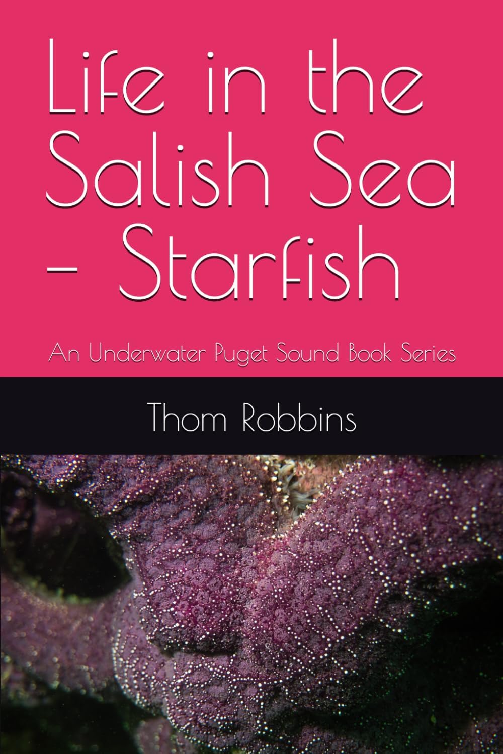 Life in the Salish Sea â€“ Starfish: An Underwater Puget Sound Book Series - Image 1