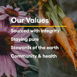 Natural Factors CurcuminRich Theracurmin imported wellness product packaging