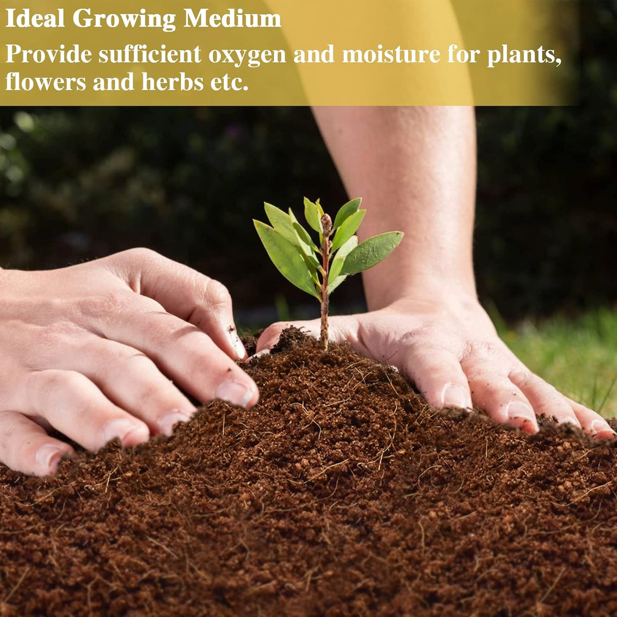 Eco friendly organic coconut fiber substrate dimensions and packaging