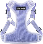 Best Pet Supplies Voyager Adjustable Step-in Flex Breathable Mesh Dog Harness for Small Medium Large Dogs Moss Green, S - Image 15