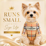 Everything Chic dog shirt tailored fit back view