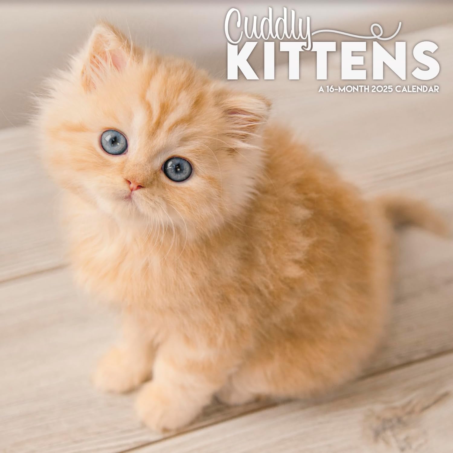 2025 Cuddly Kittens Mini Wall Calendar - Image 1