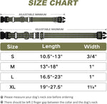 Martingale collar hardware detail for dog safety
