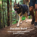 Ruffwear Medium size harness flat lay on neutral background