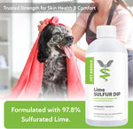 Back label instructions for Vet Basics antiparasitic solution for dogs and cats