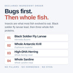 Northfin insect based fish food ingredient highlights