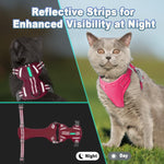 Back view of escape proof kitten harness showing metal leash clip
