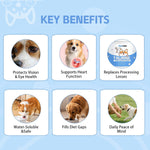 USA imported dog supplement for healthy skin coat and everyday vitality