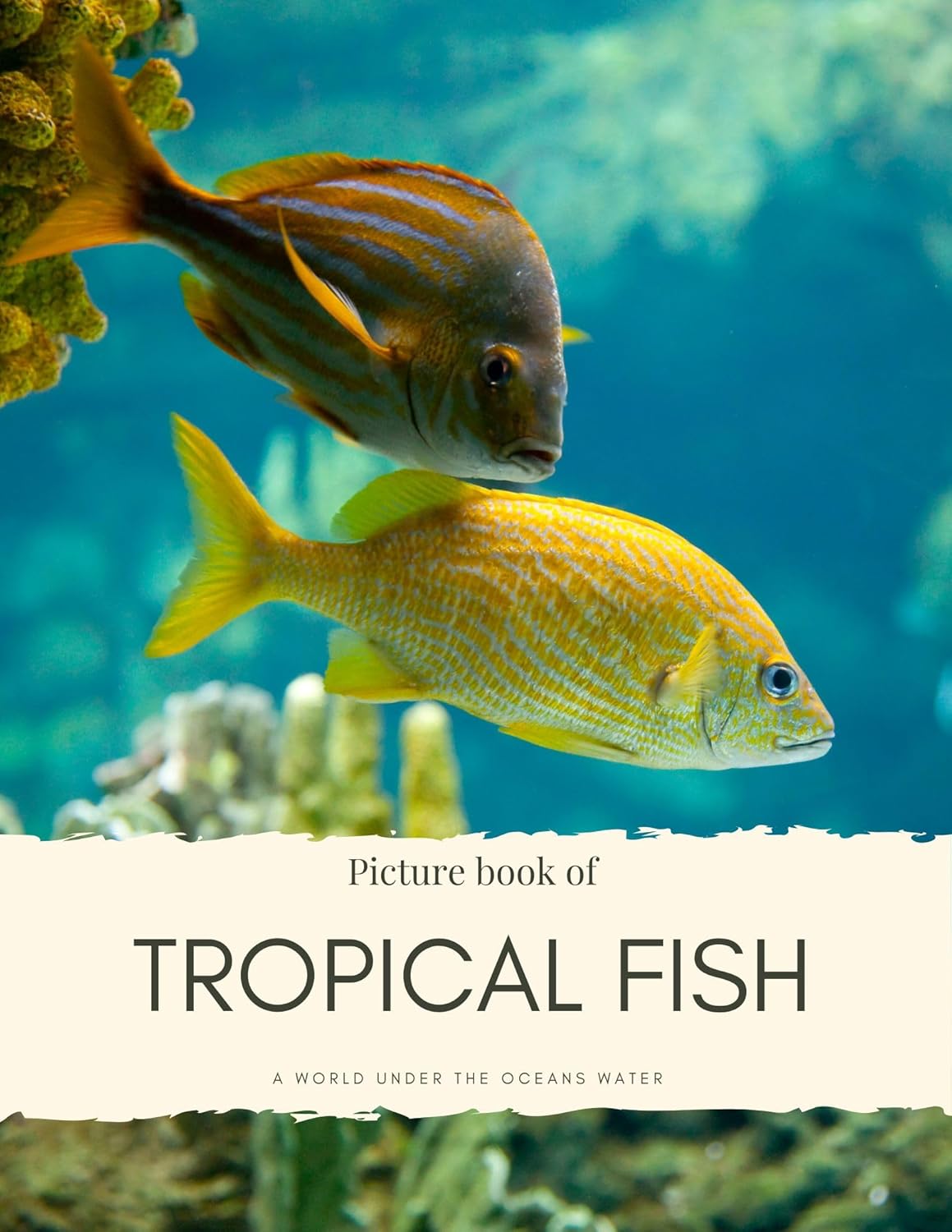 Picture Book of Tropical Fish: A World Under the Oceans Water (Nostalgia Coffee Table Books) - Image 1