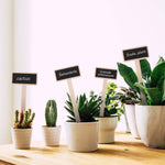 Assorted wooden plant markers arranged on a wooden surface