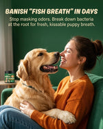 Vpetusx probiotic dog dental care supplement bottle layout