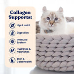 Holistic feline liquid treat with collagen protein for digestive support.