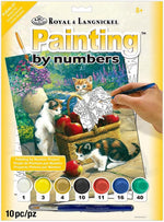 Included numbered acrylic paint pots and paintbrush