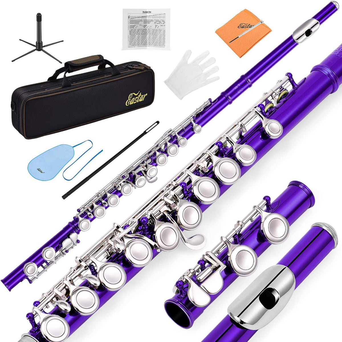 Eastar Closed Hole 16 Keys Flute for Beginner Kids Student with Cleaning Kit, Stand, Case, Gloves, Tuning Rod, Nickel, EFL-1 - Image 10