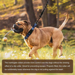 Adjustable stainless steel hardware on Hikiko collar
