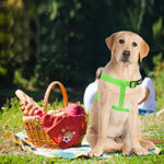 PUPTECK pet harness metal ID tag with paw print detail