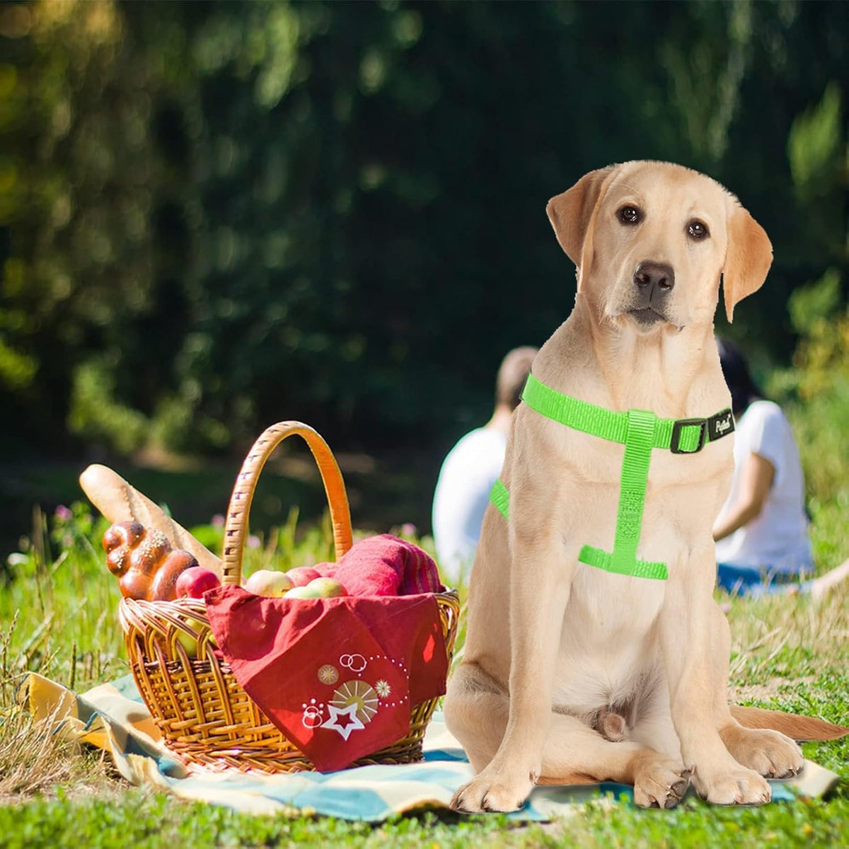 PUPTECK pet harness metal ID tag with paw print detail