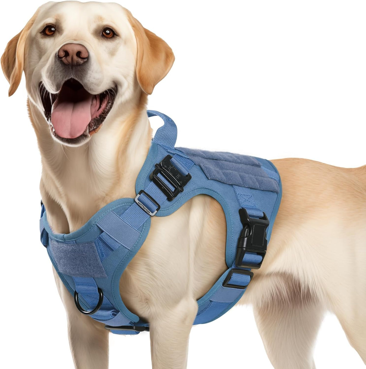 rabbitgoo Tactical Dog Harness for Small, Heavy Duty Military No Pull Vest | Sturdy Metal Buckles, 5 Adjustments, Molle System, Powerful Pullers for Training, Hunting, Outdoor, Grey, Small - Image 9