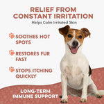 BestLife4Pets natural dog itching relief supplement bottle showing 400 tiny pills count.