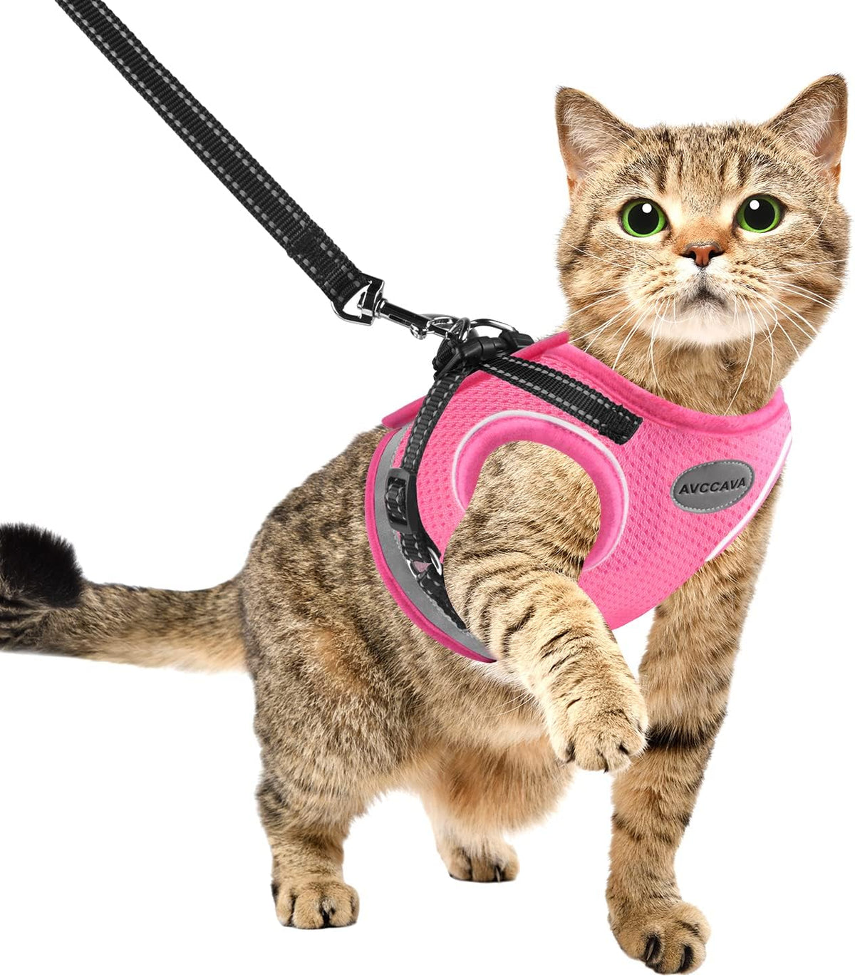 AVCCAVA soft mesh pet vest safety harness with leash