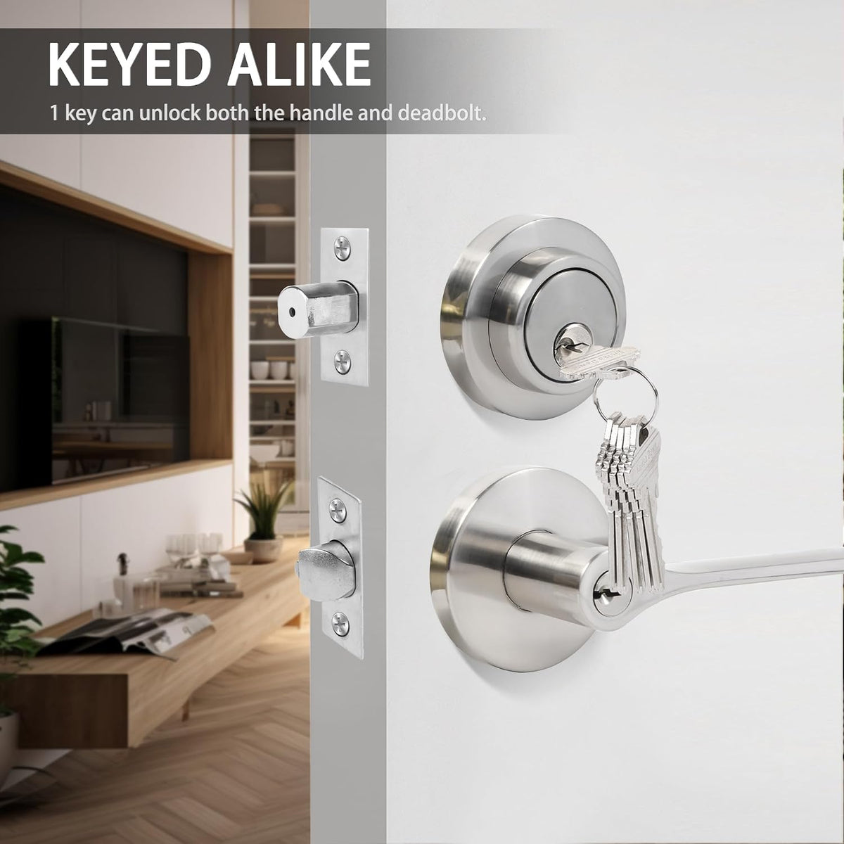 JESSTTI exterior door handle close up