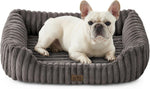 Orthopedic Dog Bed for Small Dogs & Cats - Washable Rectangle Pet Bed with Anti-Slip Bottom, Soft Calming Cat & Puppy Bed for Indoor Pets (25"x21"x6", Cream) - Image 9