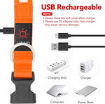 Adjustable USB rechargeable dog collar strap and buckle detail