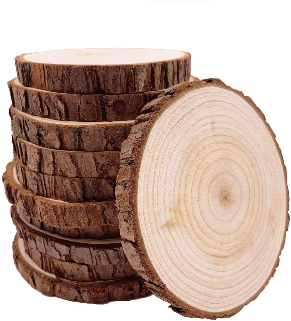 William Craft tree slices showcasing growth rings