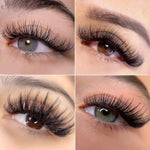 VEYES INC Easy Fan Volume Lash Extensions 03 05 07 J/B/L/C/CC/D/DD Curl 8-25mm Mixed & Single Length Tray, Matte Black Self Fanning Eyelashes, Professional Supplies for Lash Techs (0.07 C 17mm) - Image 6