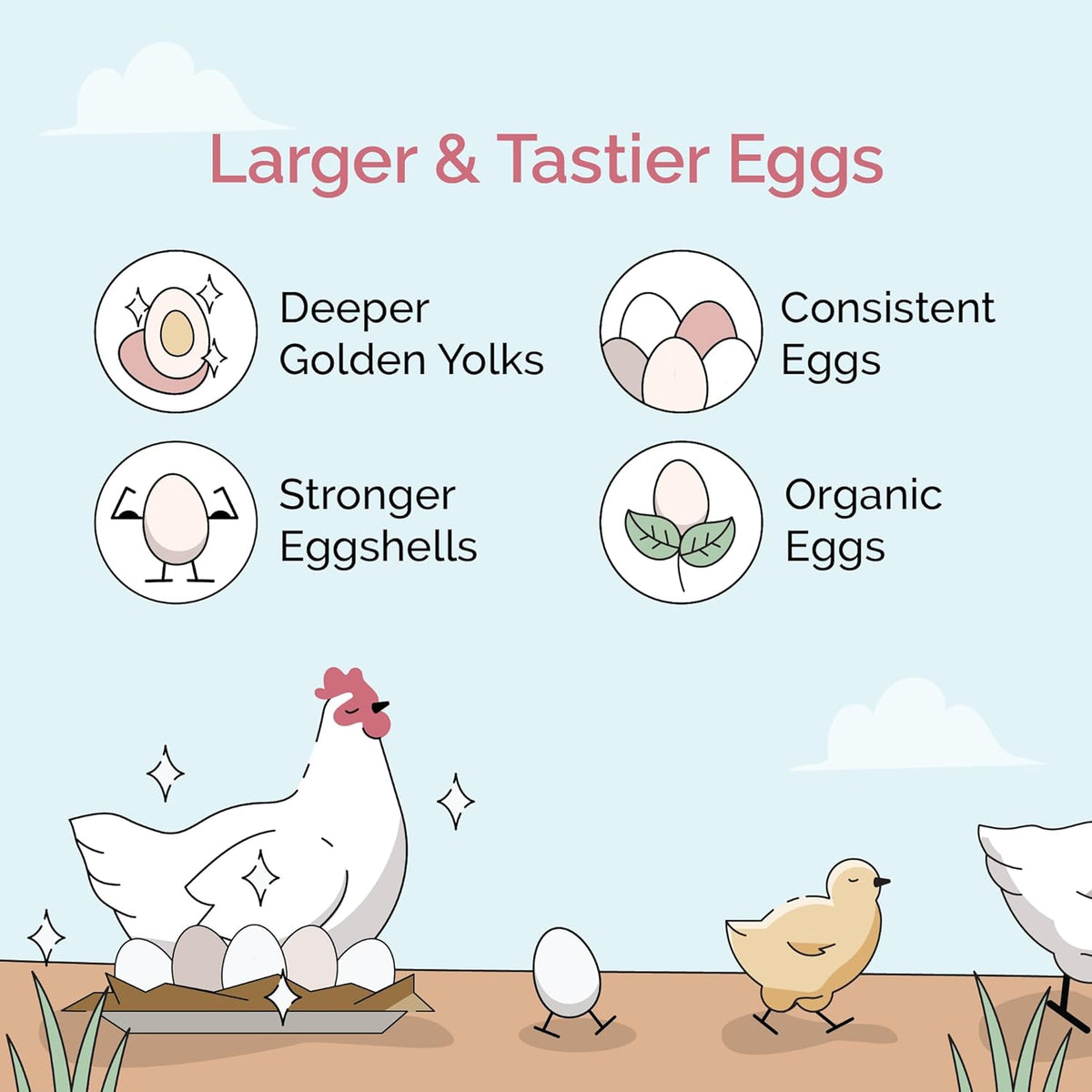 Poultry grit in a feeding container for layer chickens